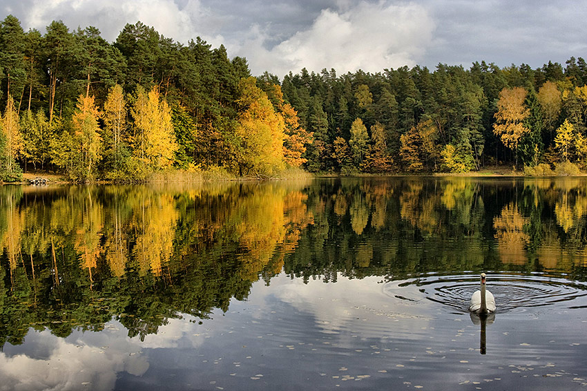 Olsztyn, jez. Długie