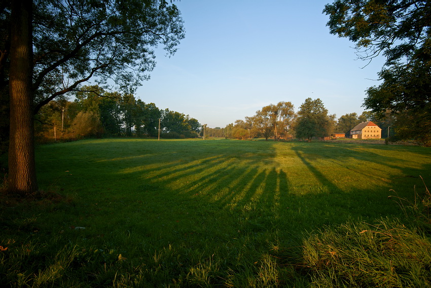 wspólne fotografowanie