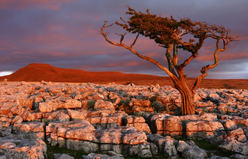 Ingleton- c.d.