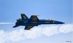 Blue Angel #5