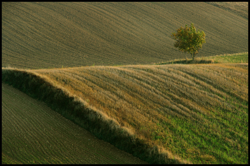 lubelszczyzna