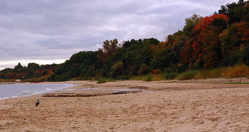 jesień nad morzem