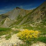 COL D IZOARD