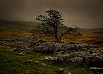 Yorkshire Dales UK