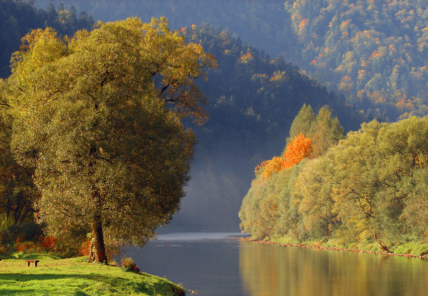 jesień nad Dunajcem