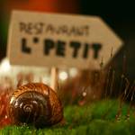 Restaurant L\\\\\\\'Petit :)