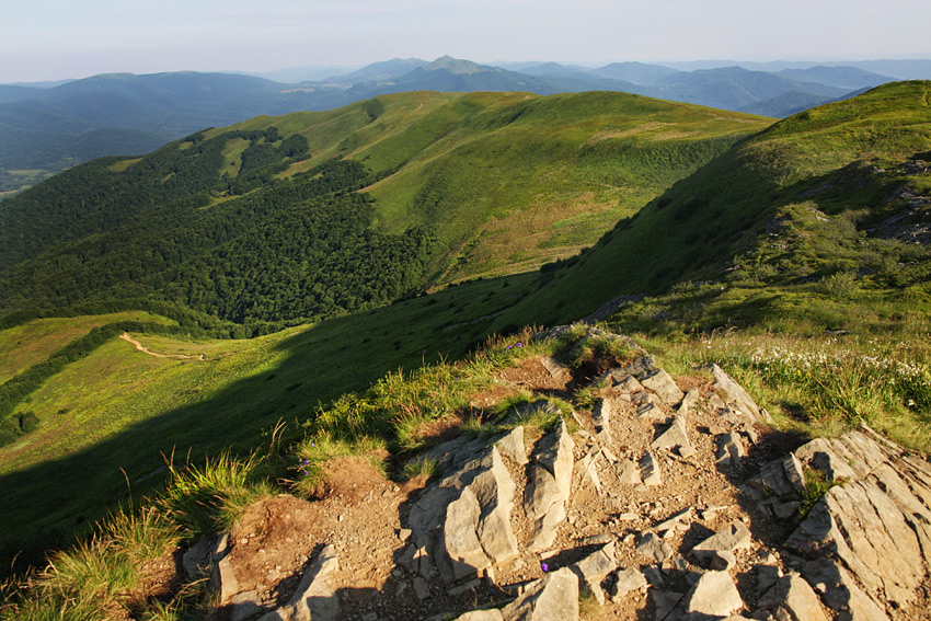 Poranek na Tarnicy