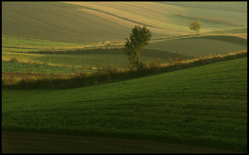 lubelszczyzna