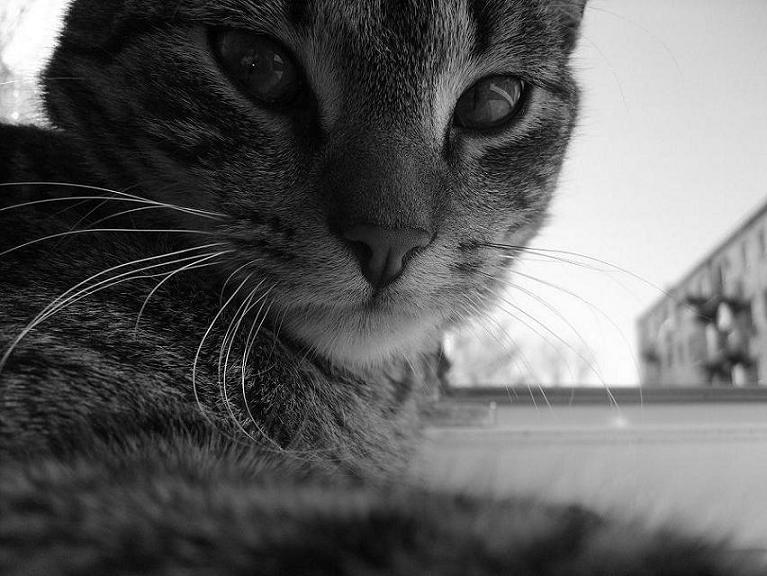 Lucjan :)