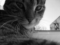 Lucjan :)