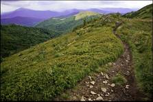 bieszczady