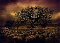 Limestone - Yorkshire Dales UK