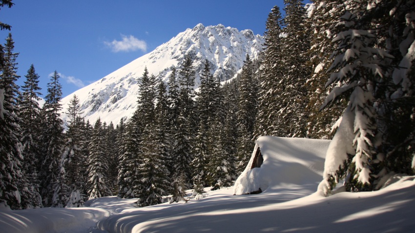 Tatry