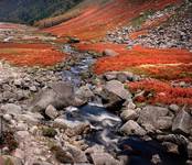 Glendalough