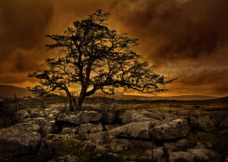 Limestone - Yorkshire Dales UK