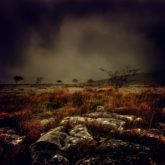 Limestone rocks - Yorkshire Dales UK