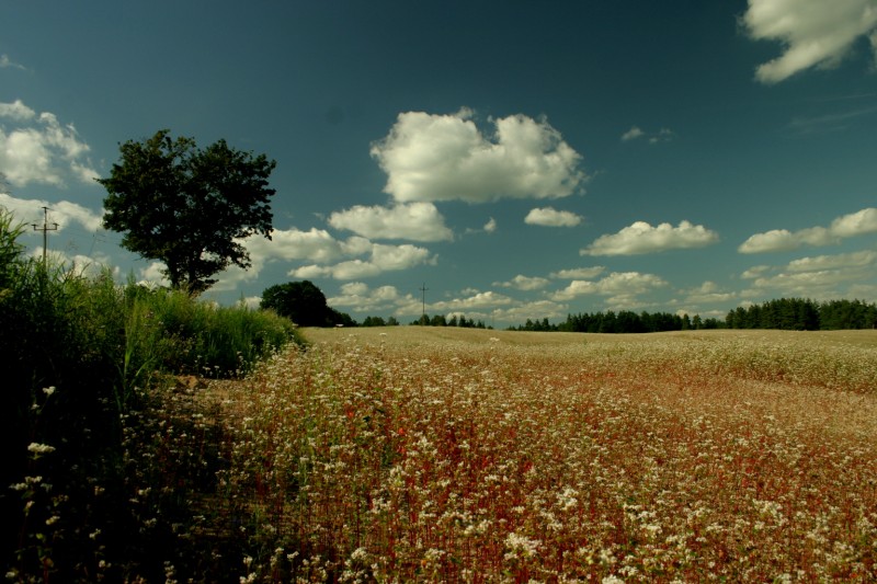 mazury.