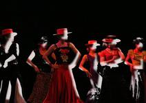 FLAMENCO 1