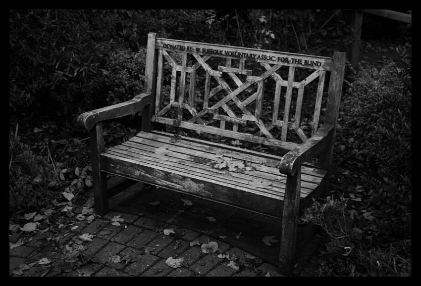 bench