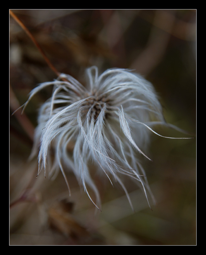 Jesienne NasTroje