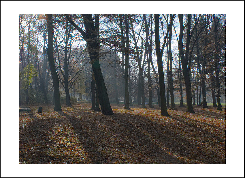 Łódzkie parki