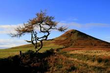 Roseberry Topping