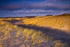 Grenen, Danmark