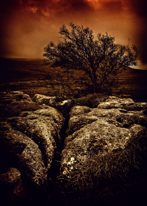 Limestone - Yorkshire Dales UK