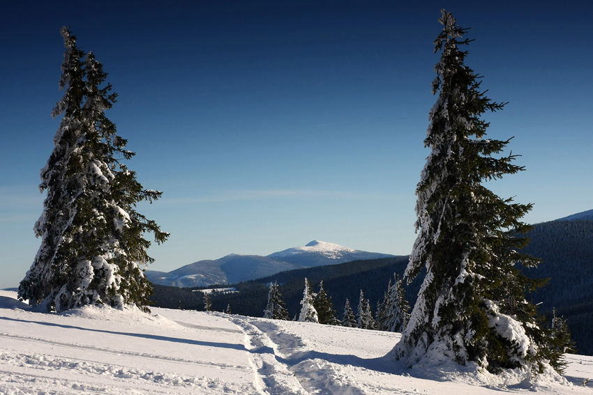 Zima w Beskidach (styczeń 2009)