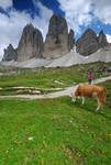 Tre Cime di Lavaredo