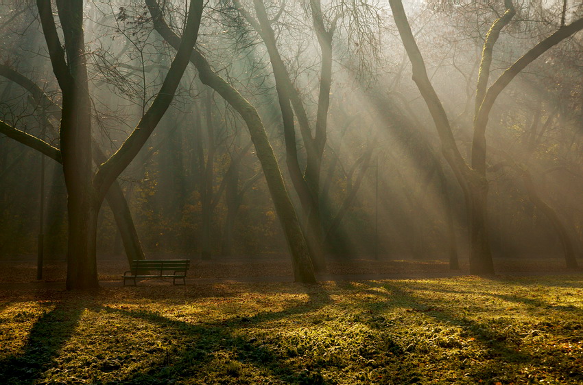 park Zdrowie w Łodzi