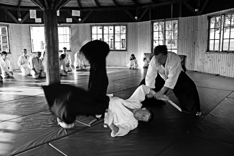 aikido