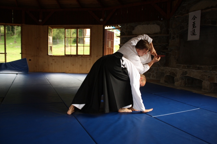 aikido