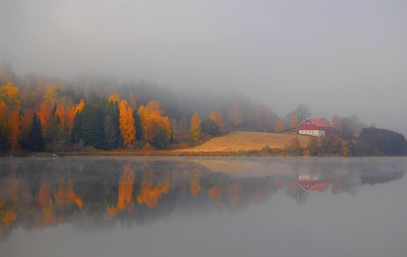 Domek Ani w pomarańczach...