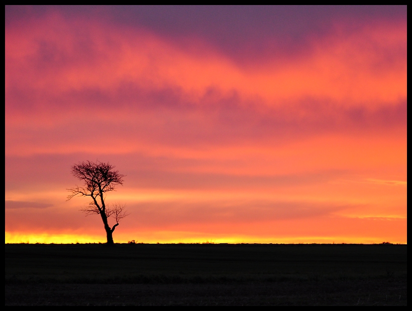 Crimson morning