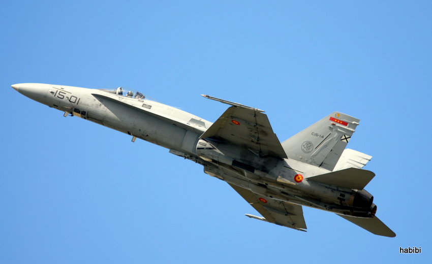 F-18 Hornet Nr.15-01