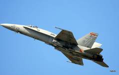 F-18 Hornet Nr.15-01