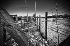 Majdanek