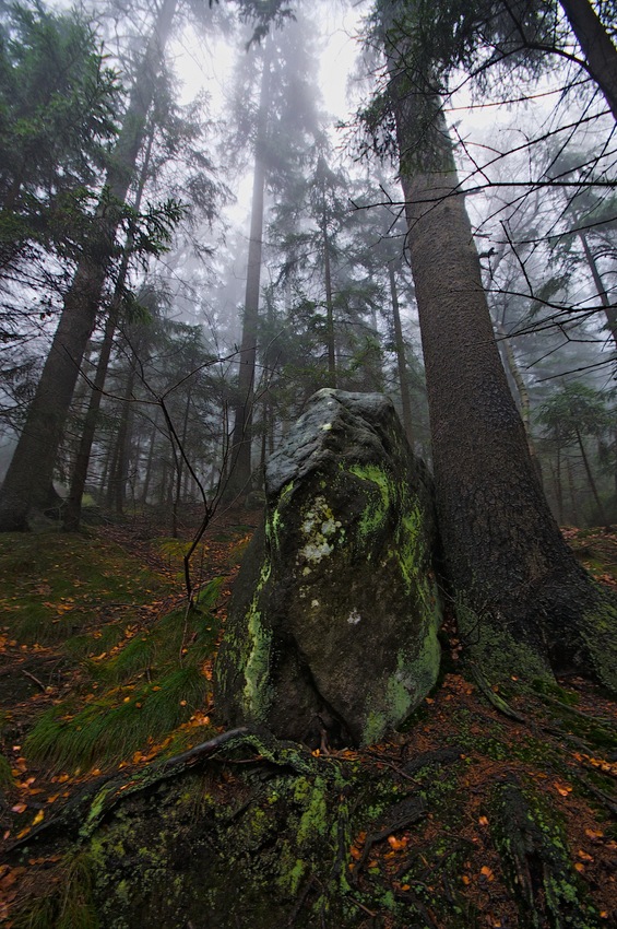 menhir leśny ...