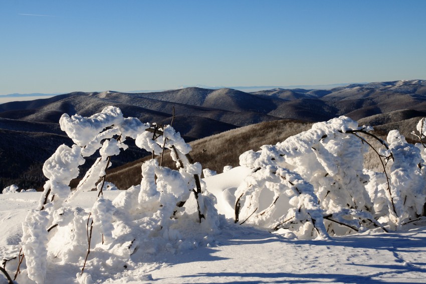 Bieszczady 2009