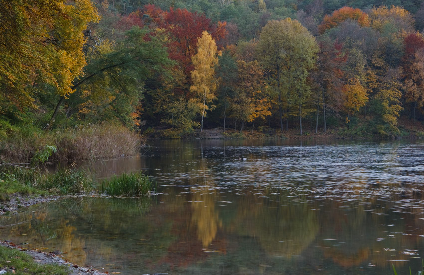 Jeziorko Szmaragdowe - Szczecin