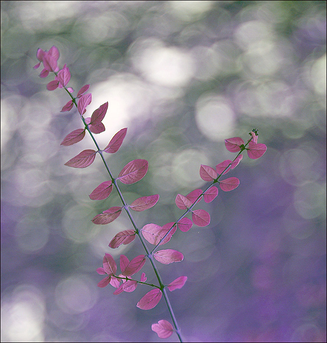 farben lehre