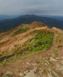 Bieszczady