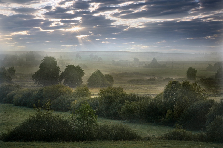 dzień powieści