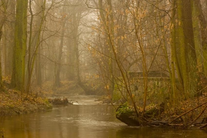 Poranek nad wodą