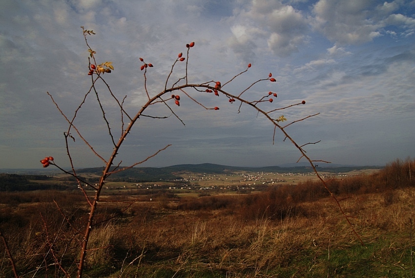 BEDNARKA (Beskid Niski)