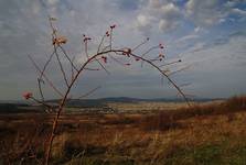 BEDNARKA (Beskid Niski)