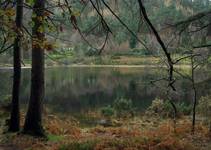 Glendalough lake