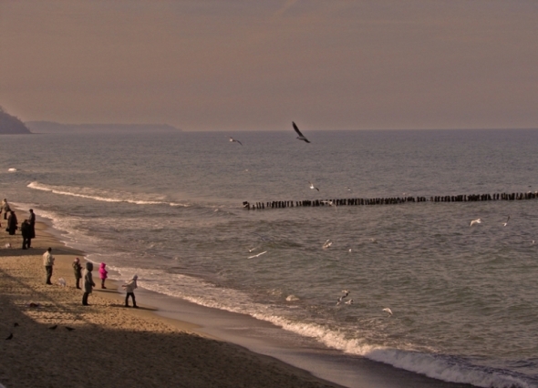 Kaliningrad sea