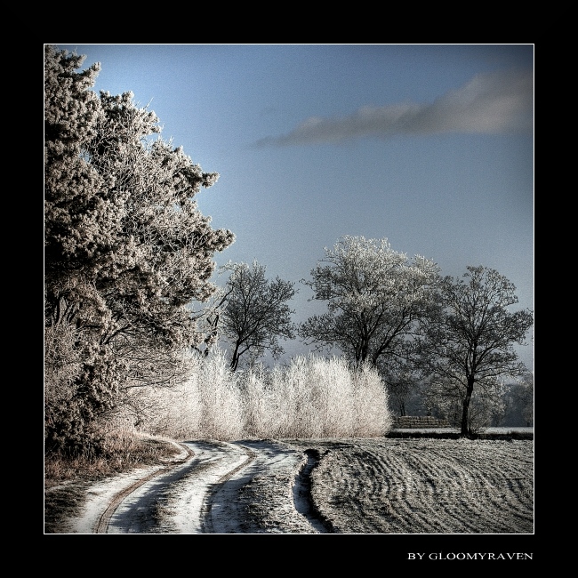 ~ Beauty of Winter IV ~